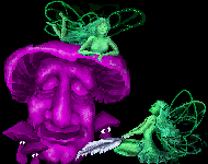 Fairies and Mushrooms